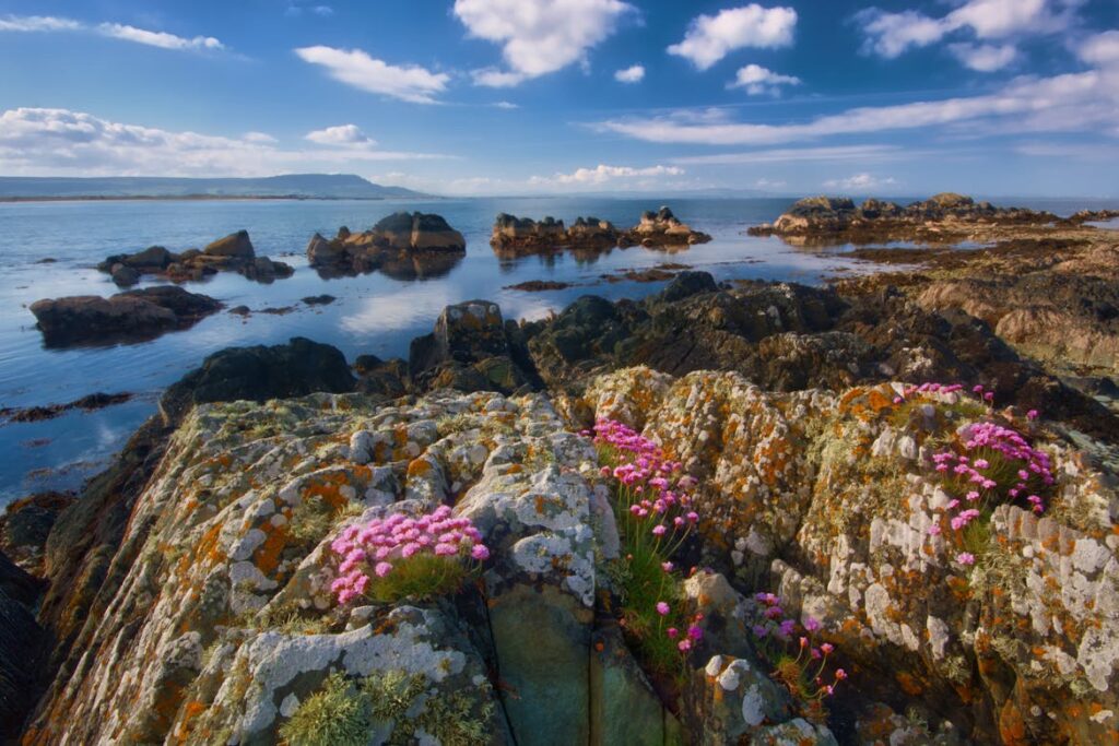 Perillo Tours Launches New Guided Journeys Through Ireland and Portugal for 2026