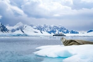 Seabourn Unveils Ambitious 2027-2028 Itineraries: From the Arctic to Solar Eclipse Voyages