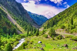 Central Asia Opens Up: New Tourism Routes and Partnerships Elevate Regional Appeal