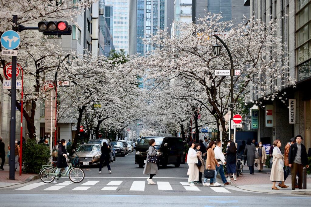 Japan to Raise Tourist Fees and Revamp Visitor Policies in 2026
