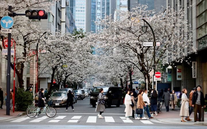 Japan to Raise Tourist Fees and Revamp Visitor Policies in 2026