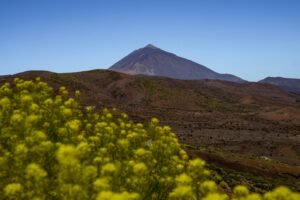 Tenerife Introduces Eco-Tax as Tourist Numbers Reach Record Highs