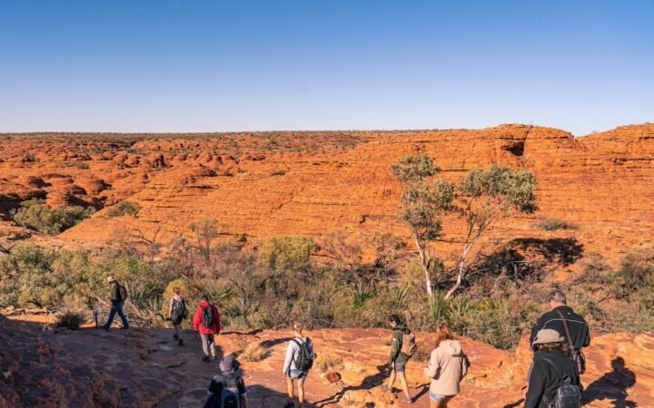 Intrepid Expands Its Nature-Based Portfolio With Acquisition of Wild Bush Luxury