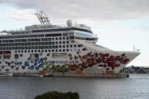 Norwegian Cruise Line and Alaska Fish & Game Launch Public Art Contest Celebrating Local Wildlife