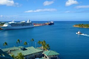 U.S. Appeals Court Halts Hawaii Cruise Tax Ahead of Planned Launch
