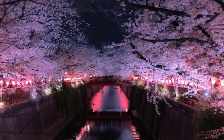 <br />
<b>Warning</b>:  Undefined variable $temp_post_title in <b>/home/u752143311/domains/travelcapybara.com/public_html/wp-content/themes/tc/page-sections/related-articles.php</b> on line <b>38</b><br />
