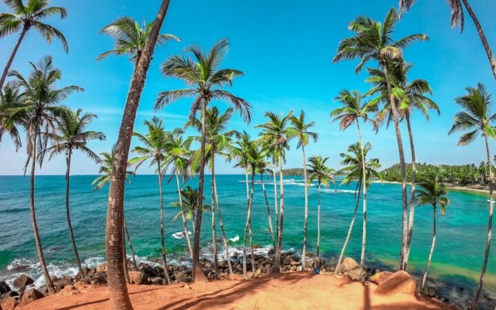 <br />
<b>Warning</b>:  Undefined variable $temp_post_title in <b>/home/u752143311/domains/travelcapybara.com/public_html/wp-content/themes/tc/page-sections/related-articles.php</b> on line <b>38</b><br />
