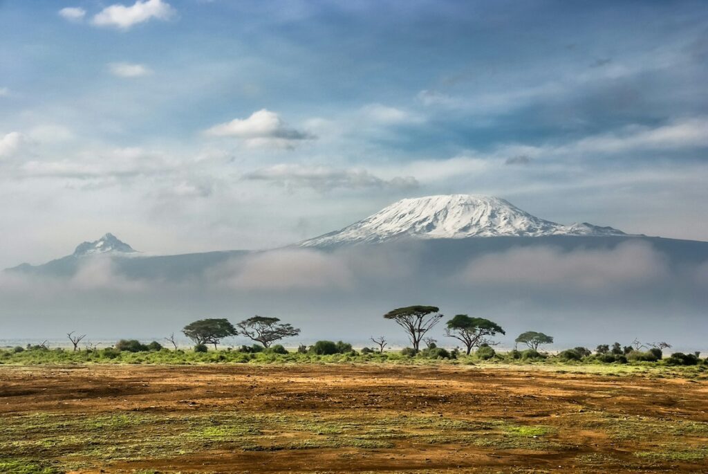 African Startup Tripesa Launches Roamio, an AI Marketplace Connecting Travelers With Local Experts