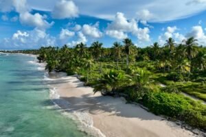 Hyatt to Open New Family-Friendly Hyatt Ziva Resort in Punta Cana