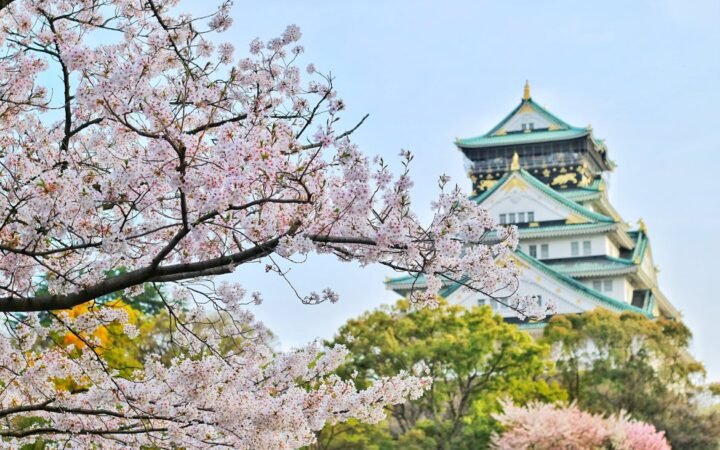 Japan’s 2026 Cherry Blossom Season Is Expected to Start Early