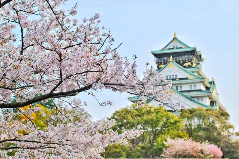 Japan’s 2026 Cherry Blossom Season Is Expected to Start Early