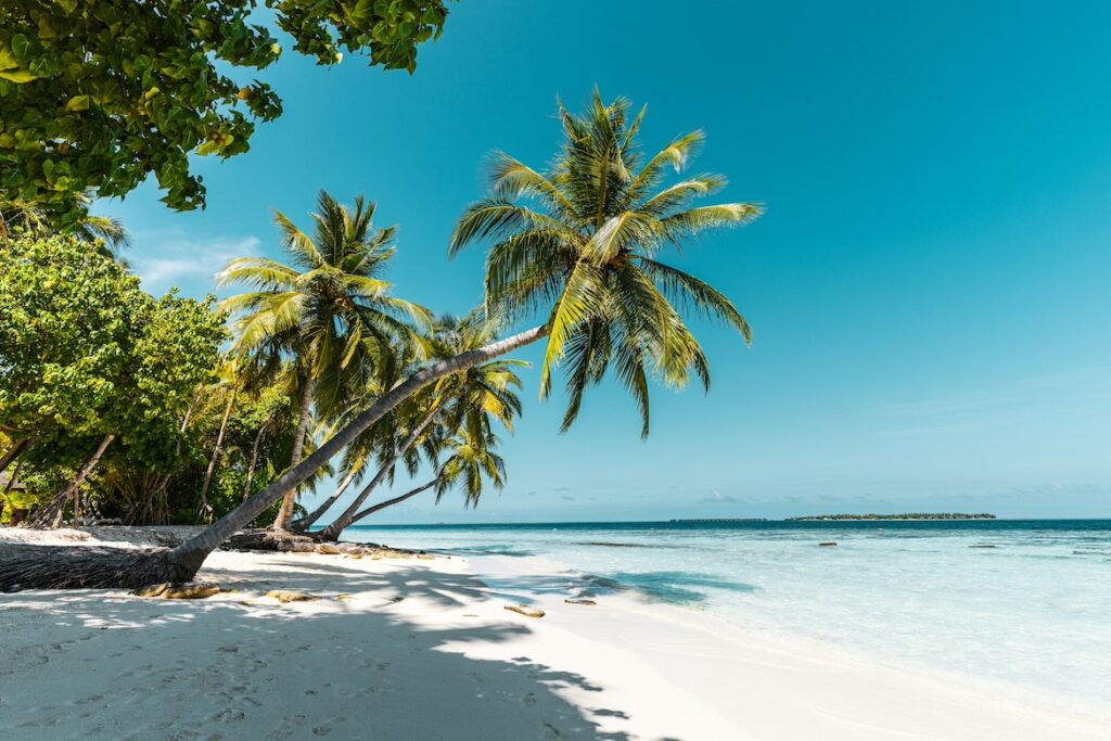Top 5 Best Caribbean Islands to Visit This Summer