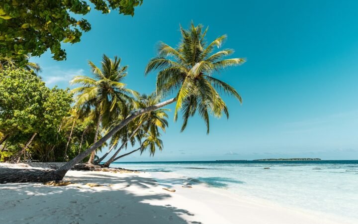 Top 5 Best Caribbean Islands to Visit This Summer