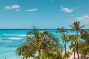 Meliá Sees Spain and the Caribbean Gaining as Travelers Reroute Summer Trips