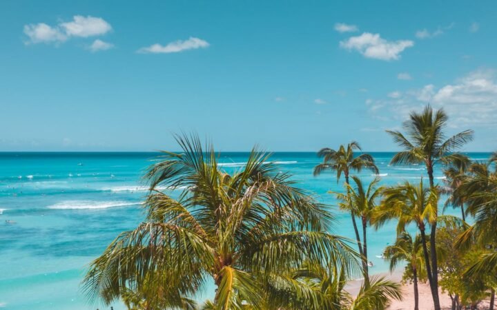 Meliá Sees Spain and the Caribbean Gaining as Travelers Reroute Summer Trips