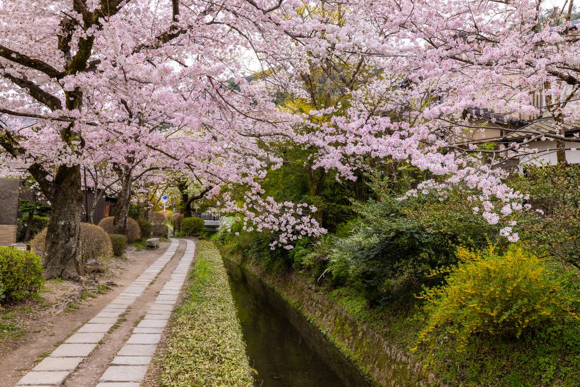 kyoto-travel-guide-2026-07