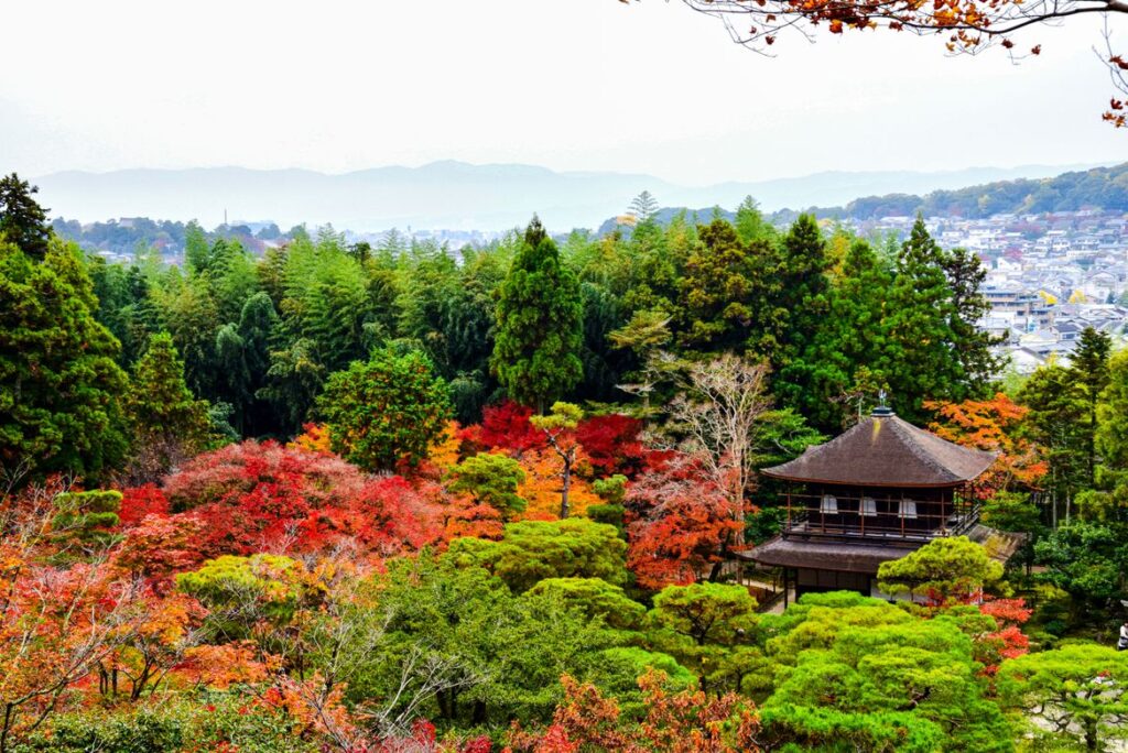 Kyoto Travel Guide 2026: Temples, Tea Houses and Japan’s Timeless Heart