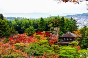 Kyoto Travel Guide 2026: Temples, Tea Houses and Japan’s Timeless Heart
