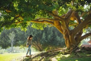World’s Safest Countries Offer Travelers Stability as Global Peace Falls