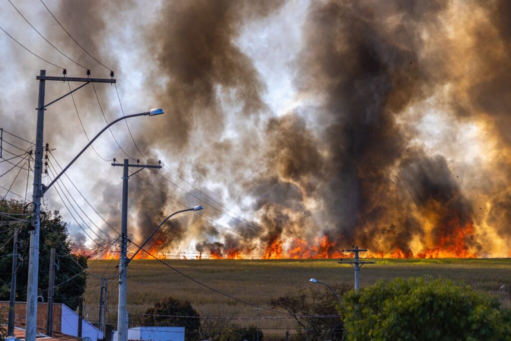 France and Spain Wildfires Trigger Mass Evacuations as Heatwave Threatens Travel Plans