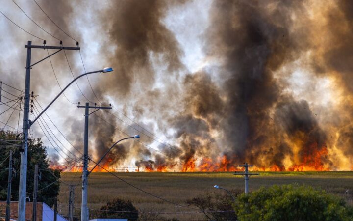 France and Spain Wildfires Trigger Mass Evacuations as Heatwave Threatens Travel Plans