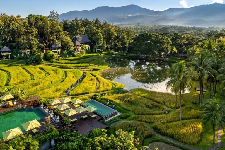 Four Seasons Adds Curated Trips Across Hawaii, Japan and Thailand