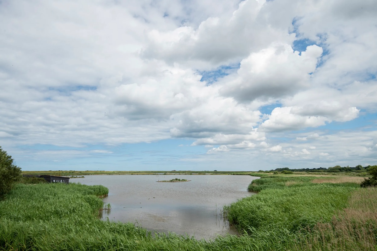 Reedbeds and open water beneath a cloudy sky at Titchwell Marsh in Norfolk