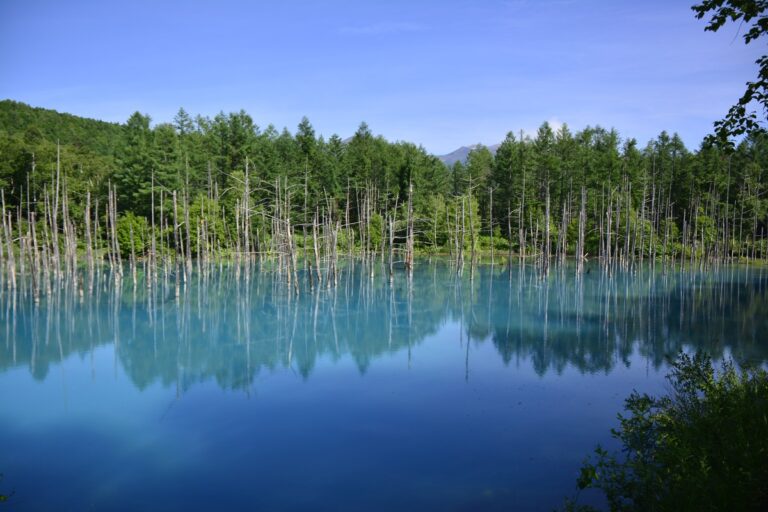 Hokkaido Named Japan’s Most Attractive Prefecture for 18th Year